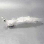 Peacock w/clip White