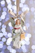 Angel Hanging Ornament image
