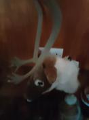 Gisela Graham Reindeer