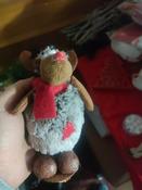 Reindeer