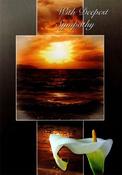 Deepest Sympathy Card Peter Costelloe