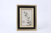Mindy Brownes Dara Frame 5x7 JAC005 image