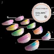 MAXYMOVA COLIBRI CURL SILICONE EYELASH CURL SHIELDS - 5 SIZES image