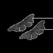 LAMITTA  "Mariposa" Bottom Lash Lift Patch-Shields