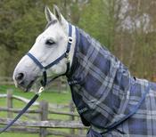 Celtic Stable Neck - Factory Seconds