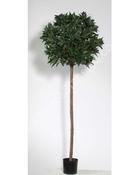 Bay Tree Artificial