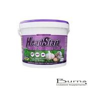 HEADSTART GARLIC LICK