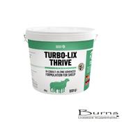 TURBO-LIX THRIVE SHEEP