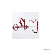 ADLAM MULTI-USE PROLAPSE HARNESS