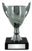 Silver Plastic Cup Trophy image