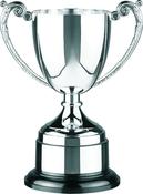 Swatkins Cup image