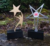 Custom Designed Aluminium Awards image