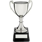 Nickel Plated Cup on Base image