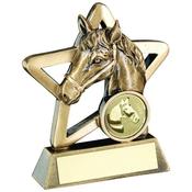 Horse Mini Star Award