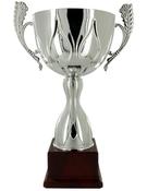 Silver Metal Cup on Brown Base image