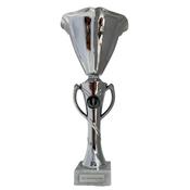 Silver Cup image