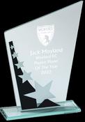 Sloped Glass Star Award image