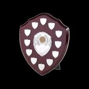 25cm Swatkins Date Plate Shield