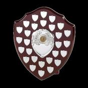 30cm Swatkins Date Plate Shield