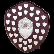 35 cm Swatkins Date Plate Shield image