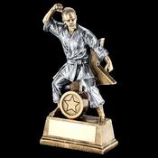 Female Martial Arts Figure image