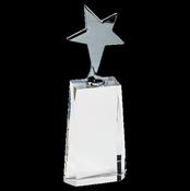 Metal Star on Crystal Award image