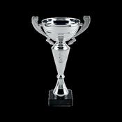 Silver Metal Cup Trophy image