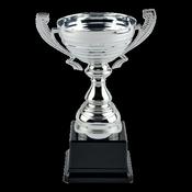 Silver Metal Trophy Cup image