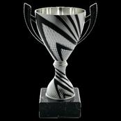 Glanmire Black/Silver Cup image