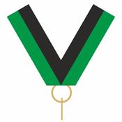 22mm Clip 0n Ribbon - Green &amp; Black image