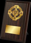 GAA Plaque