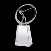 Swatkins Silver Metal/Glass Award image