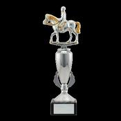 Gold and Silver Equestrian Award image