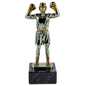 Boxing Trophy