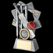 Cricket Star Spiral Award