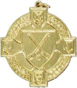 Hurling Medal image
