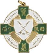 Crossed Hurleys Medal - Green image