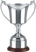 Swatkins Prestige Studio Cup with Celtic Band image