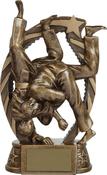 Bronze Martial Arts Trophy image