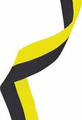 22mm Clip On Ribbon - Black &amp; Yellow image