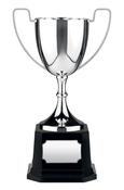 Swatkins Replica Nickle Plated Cup image