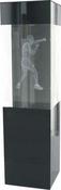 3D Laser Glass Boxing Trophy image