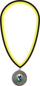 10mm Clip On Ribbon - Black &amp; Yellow image