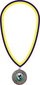 10mm Clip On Ribbon - Blue &amp; Yellow image