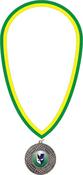 10mm Clip On Ribbon - Green &amp; Yellow image