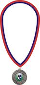 10mm Clip On Ribbon - Blue &amp; Red image