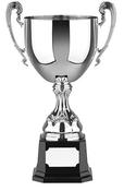 The Swatkins Euro Cup image