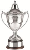 Swatkins Ultimate Celtic Cup image