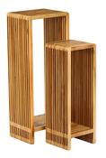 Bari Plant Stands - Teak image