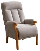 Blaze Fireside Chair - Silver image